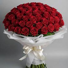 Букет 101 Красная роза Блэк Мэджик в Злынке