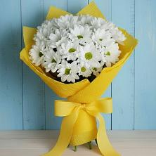 Букет цветов из:  Хризантемы в Злынке