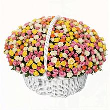 Премиум букет из: Розы в Злынке