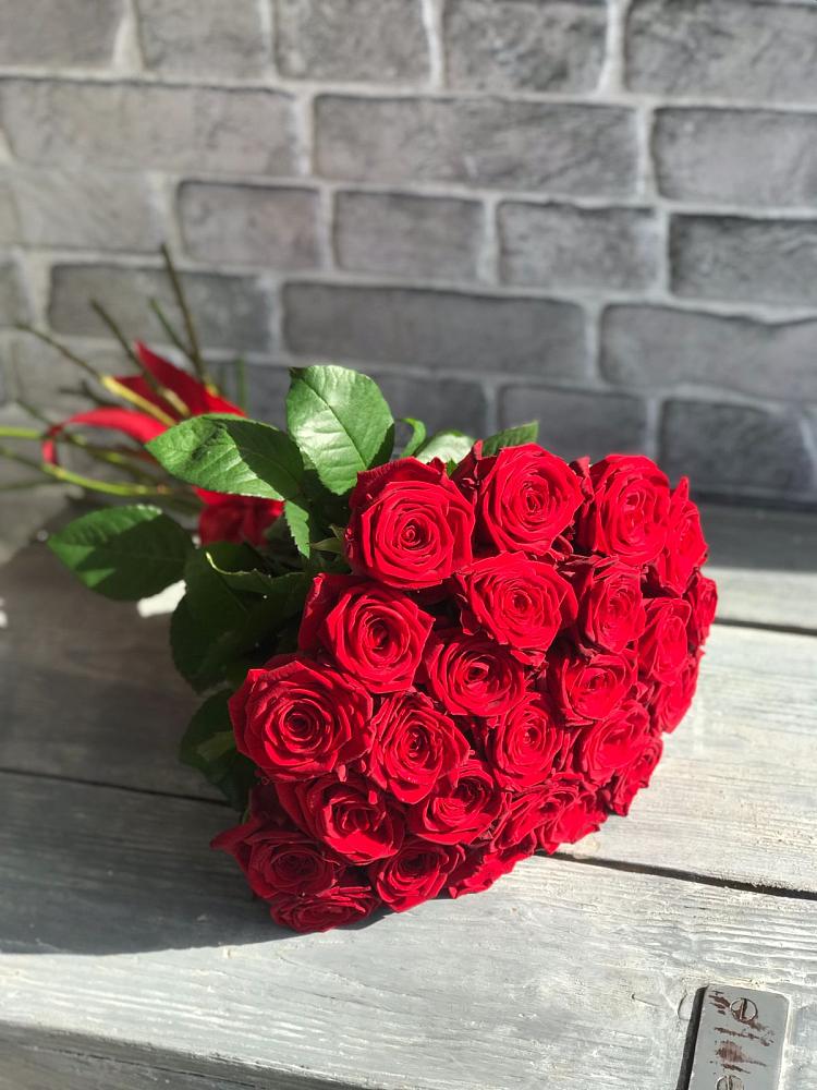 Букет Красные розы Фридом в Злынке