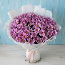 Букет цветов из:  Хризантемы в Злынке
