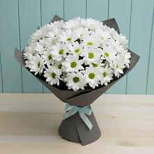 Букет цветов из:  Хризантемы в Злынке
