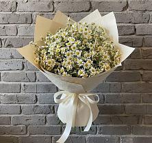 Букет цветов из:  Ромашки в Злынке