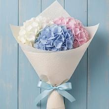 Букет цветов из:  Гортензия в Злынке