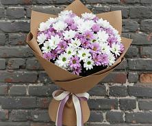 Букет цветов из:  Хризантемы в Злынке