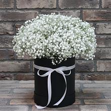 Цветочная композиция из Гипсофила в шляпной коробке в Злынке