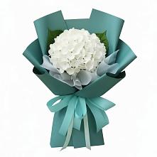 Букет цветов из:  Гортензия #REPLACE_PRED# Злынке